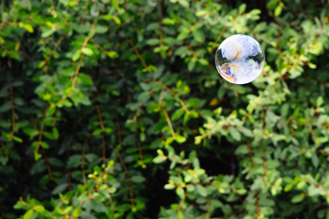 Photo Bubble tea cup